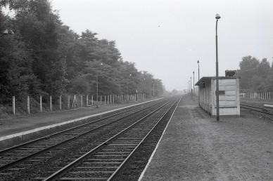 Winterslag - MZ-636-20257 (4).jpg